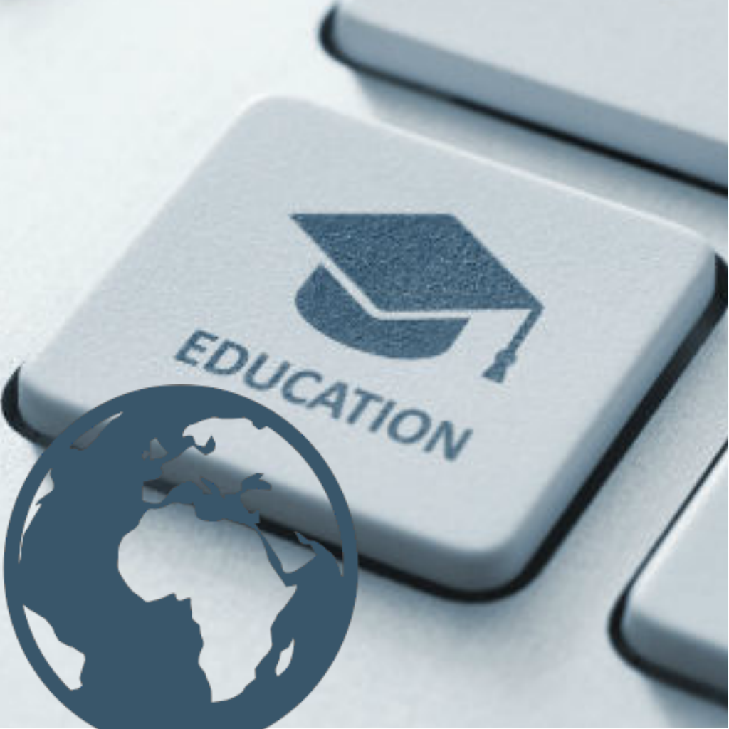 Promote the integration of online educational opportunities in Africa